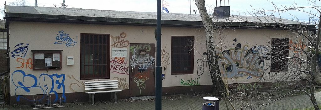 Gruppenschuppen mit zahlreichen Graffiti